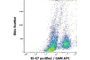 Flow cytometry intracellular staining pattern of human PHA stimulated peripheral whole blood stained using anti-human Ki-67 (Ki-67) purified antibody (concentration in sample 0. (Ki-67 anticorps)