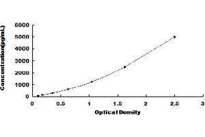 Typical Standard Curve (Keratin 33A Kit ELISA)