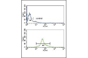 IRF5 Antibody (N-term) (ABIN389333 and ABIN2839445) flow cytometry analysis of Ramos cells (bottom histogram) compared to a negative control cell (top histogram).