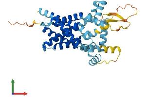 AlphaFold protein structure predicition of Mouse Recombinant Slc25a40 Protein, UniprotID Q8BGP6