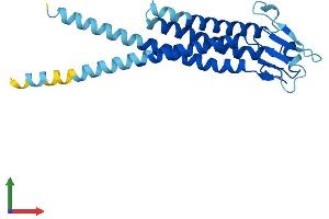 AlphaFold protein structure predicition of Human Recombinant LHFPL3 Protein, UniprotID Q86UP9