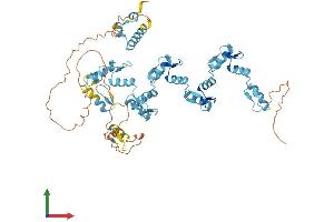 AlphaFold protein structure predicition of Human Recombinant ZNF57 Protein, UniprotID Q68EA5