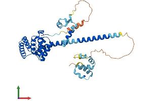 AlphaFold protein structure predicition of Mouse Recombinant St13 Protein, UniprotID Q99L47