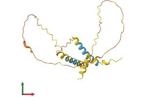 AlphaFold protein structure predicition of Human Recombinant EID1 Protein, UniprotID Q9Y6B2