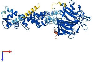 AlphaFold protein structure predicition of Human Recombinant KLHL7 Protein, UniprotID Q8IXQ5