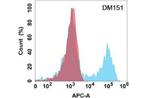 Flow cytometry analysis with Anti-TACI (DM151) on Expi293 cells transfected with human TACI (Blue histogram) or Expi293 transfected with irrelevant protein (Red histogram). (TACI anticorps  (AA 2-166))