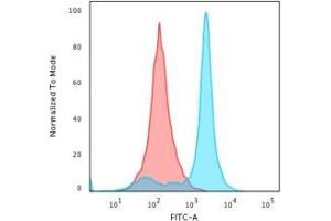 Flow Cytometric Analysis of HeLa cells.