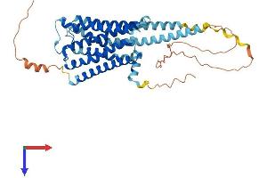 Histamine Receptor H3 (HRH3) (AA 1-445) protein (His tag)