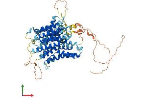 AlphaFold protein structure predicition of Human Recombinant SLC23A3 Protein, UniprotID Q6PIS1