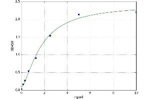 Transmembrane Protein 126A (TMEM126A) ELISA Kit
