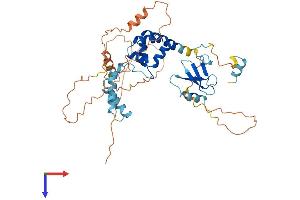 AlphaFold protein structure predicition of Mouse Recombinant Fbxo5 Protein, UniprotID Q7TSG3