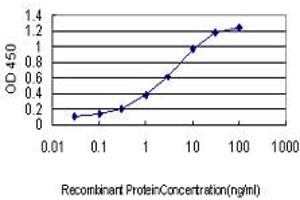 Detection limit for recombinant GST tagged PTK2 is approximately 0. (FAK anticorps  (AA 355-490))