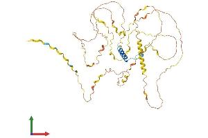 AlphaFold protein structure predicition of Human Recombinant FBRS Protein, UniprotID Q9HAH7
