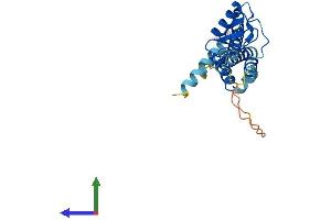 AlphaFold protein structure predicition of Human Recombinant NSMCE2 Protein, UniprotID Q96MF7