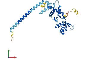 AlphaFold protein structure predicition of Mouse Recombinant Snf8 Protein, UniprotID Q9CZ28