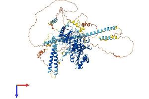 AlphaFold protein structure predicition of Human Recombinant MORC1 Protein, UniprotID Q86VD1