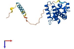 AlphaFold protein structure predicition of Human Recombinant RGS5 Protein, UniprotID O15539