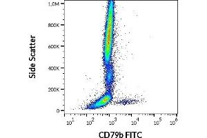 Flow cytometry surface staining pattern of human peripheral whole blood stained using anti-human CD79b (CB3-1) FITC antibody (4 μL reagent / 100 μL of peripheral whole blood). (CD79b anticorps  (FITC))
