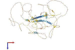 AlphaFold protein structure predicition of Mouse Recombinant Dact1 Protein, UniprotID Q8R4A3