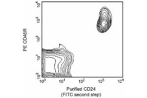 Purified CD24 (FITC second step) (CD24 anticorps)