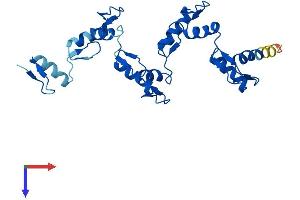 AlphaFold protein structure predicition of Human Recombinant ZNF664 Protein, UniprotID Q8N3J9