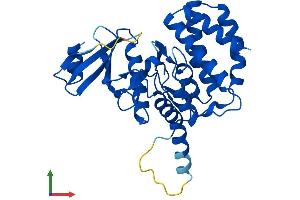 AlphaFold protein structure predicition of Mouse Recombinant Fn3k Protein, UniprotID Q9ER35
