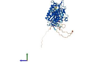 AlphaFold protein structure predicition of Human Recombinant SUFU Protein, UniprotID Q9UMX1