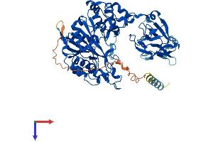 AlphaFold protein structure predicition of Human Recombinant GALNT10 Protein, UniprotID Q86SR1
