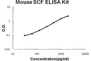 Mouse SCF PicoKine ELISA Kit standard curve (KIT Ligand Kit ELISA)