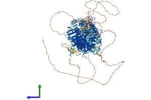 AlphaFold protein structure predicition of Human Recombinant SLC12A2 Protein, UniprotID P55011