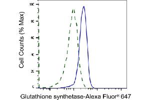 Validation of Glutathione synthetase knockdown using flow cytometry. (Recombinant Glutathione Synthetase anticorps)