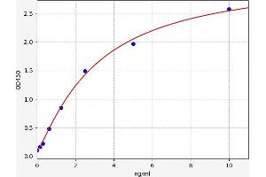 Hyaluronidase-1 (HYAL1) ELISA Kit