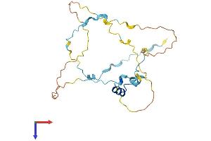 AlphaFold protein structure predicition of Human Recombinant RHNO1 Protein, UniprotID Q9BSD3