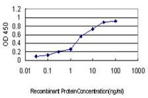 Detection limit for recombinant GST tagged CSDC2 is approximately 0.
