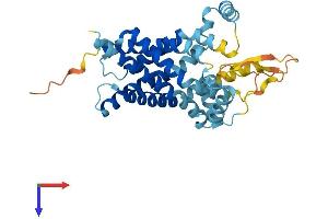 AlphaFold protein structure predicition of Mouse Recombinant Slc25a40 Protein, UniprotID Q8BGP6