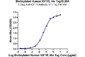 Immobilized Anti-IGF1R Antibody at 0. (IGF1R Protein (AA 31-932) (His-Avi Tag,Biotin))