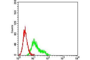 Flow cytometric analysis of Ramos cells using CD209 mouse mAb (green) and negative control (red).