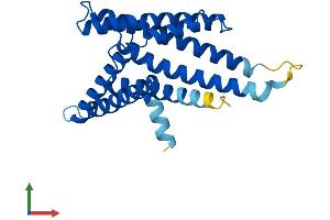 AlphaFold protein structure predicition of Human Recombinant PEX11G Protein, UniprotID Q96HA9