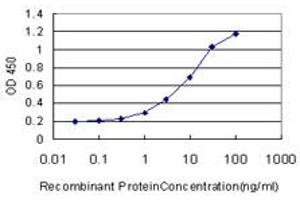 Detection limit for recombinant GST tagged SCN3A is approximately 0.