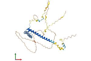 AlphaFold protein structure predicition of Mouse Recombinant Tlx1 Protein, UniprotID P43345