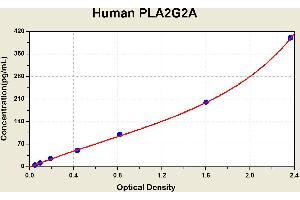 Diagramm of the ELISA kit to detect Human PLA2G2Awith the optical density on the x-axis and the concentration on the y-axis. (PLA2G2A Kit ELISA)