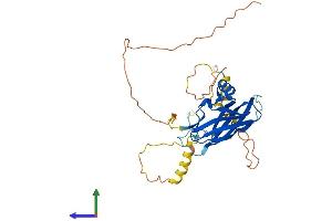 AlphaFold protein structure predicition of Mouse Recombinant Ppp1r3c Protein, UniprotID Q7TMB3