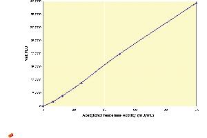 Acetylcholinesterase Fluorescent Activity Kit, 2 Plate