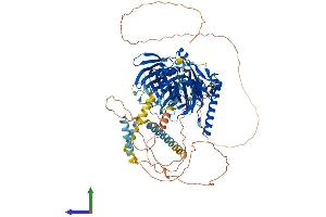 AlphaFold protein structure predicition of Human Recombinant OSBPL8 Protein, UniprotID Q9BZF1