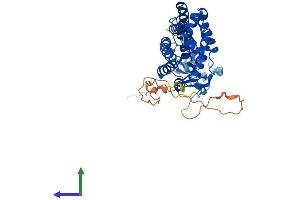AlphaFold protein structure predicition of Human Recombinant VDR Protein, UniprotID P11473