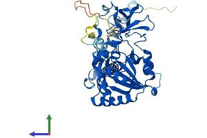 AlphaFold protein structure predicition of Mouse Recombinant Sirt7 Protein, UniprotID Q8BKJ9