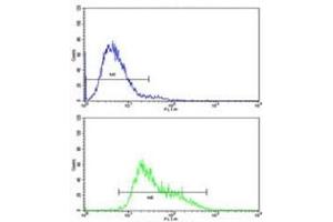 Flow cytometric analysis of CEM cells using IGHA1 antibody (bottom histogram) compared to a negative control (top histogram). (IGHA1 anticorps  (AA 257-286))