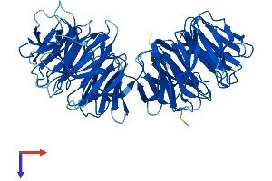 AlphaFold protein structure predicition of Human Recombinant CFAP52 Protein, UniprotID Q8N1V2