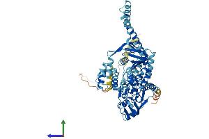 AlphaFold protein structure predicition of Human Recombinant ABCF2 Protein, UniprotID Q9UG63
