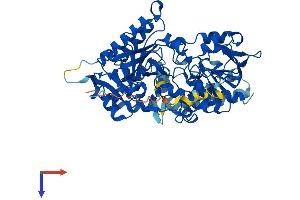 AlphaFold protein structure predicition of Mouse Recombinant Pyroxd2 Protein, UniprotID Q3U4I7